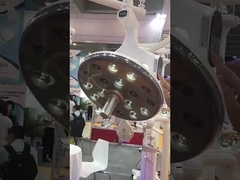 Veterinär-LED Decke des Krankenhaus-brachte zahnmedizinische Sugical-Lampe an