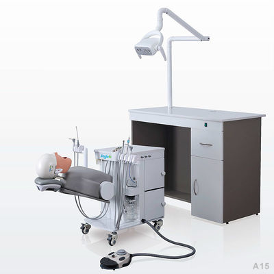 College-Schule Phantom Head Dental Simulator Durable für Zahnheilkunde