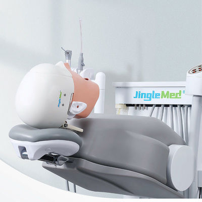 College-Schule Phantom Head Dental Simulator Durable für Zahnheilkunde