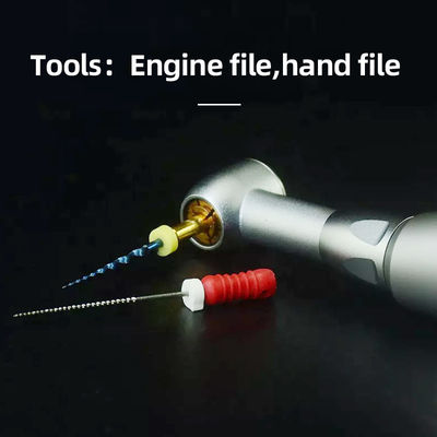Rostfreie 2.35mm zahnmedizinische Handpiece-Einheit mit Flachfeile-Werkzeugen des Drehzahlbereich-000rpm