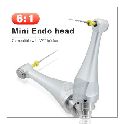 6/1 zahnärztlicher endodontischer Handstückkopf für die Endomotor-Wurzelkanalbehandlung 4,0 N.cm