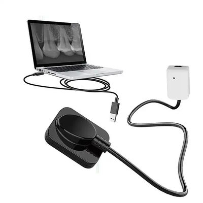 Dental-Röntgen-Digitalsensor für Zahnimplantate und endodontische Behandlung