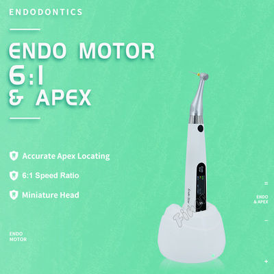Endomotor 6: 1 mit Apex Elektromotor für Endo-Behandlung