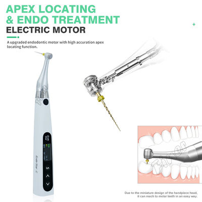 Endomotor 6: 1 mit Apex Elektromotor für Endo-Behandlung
